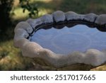 Stone Bird Bath Garden Decoration