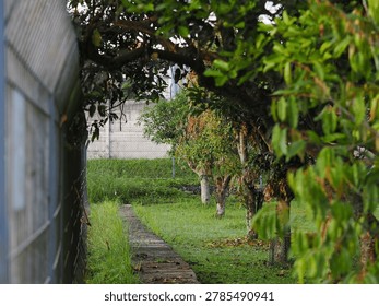 A stone block pathway structure curving through a lush green grassy garden beside a metal fence