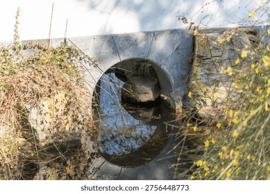 Stone bridge arch frames a flowing stream. Overgrown vegetation surrounds the structure. Yellow wildflowers and grasses grow near the water. Sunlight highlights the water's surface