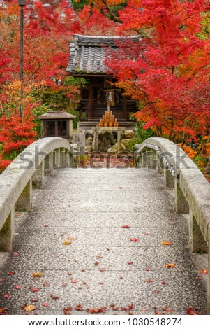 A stone bridge cross through red mapale autumn tree to a small shrine, Kyoto, Japan