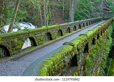 Stone Bridge Over Creek Covered With Moss And Ferns In Early Spring, Whatcom Falls Park In Bellingham, Washington