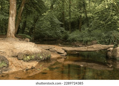 Stone bridge over a fairytale stream. Large stones are covered with moss.