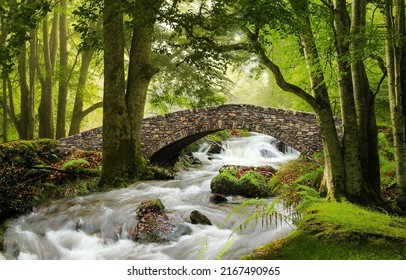 Stone bridge over a stormy stream in the forest. Forest stream bridge. Bridge over forest stream. Forest stream flowinf under stone bridge