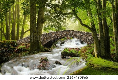Stone bridge over a stormy stream in spring outdoor