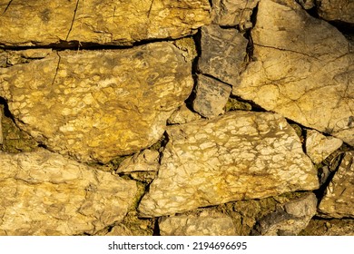 Stone Brown Texture Walpaper Isolated