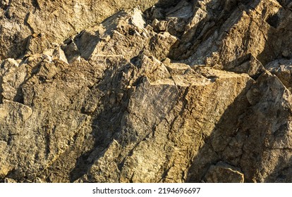 Stone Brown Texture Walpaper Isolated