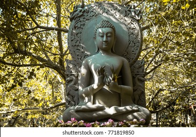 Stone Buddha Statue Under The Big Tree