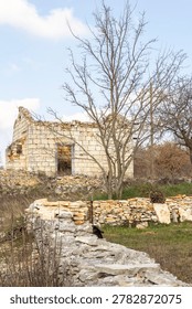A stone building with a large tree in front of it. The building is old and has a lot of cracks. The tree is bare and has no leaves. The scene is quiet and peaceful