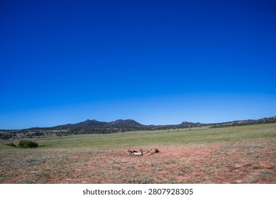Stone campfire ring on open prairie rangeland under vast blue sky