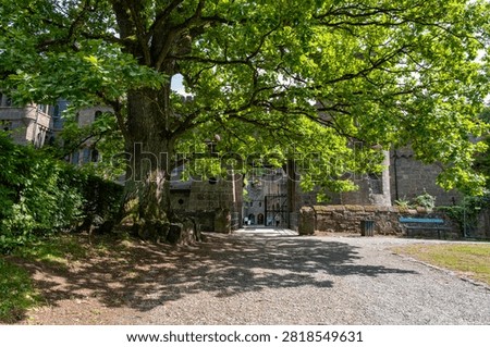 Stone Castle Gate Cobblestone Path Dappled Sunlight, Ancient Fortress Entrance Framed By Leafy Tree, Warm Summer Sky, Deep Shadow Contrast, Worn Brick Textures, Inviting Archway. Kassel, Germany.