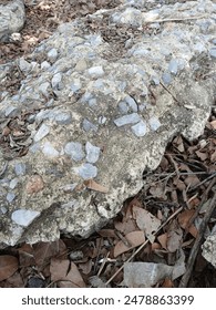 The stone is in the cement.