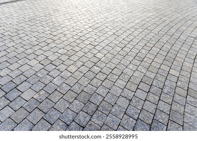 Stone Cobblestone Pavement on a Square, Texture of Historical Paving Surface