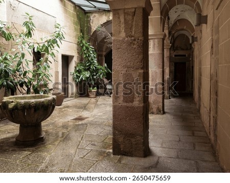 Stone columns, plants and a stone basin create a tranquil atmosphere in a cloister of a convent