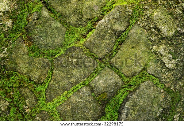 Stone Covered By Moss Stock Photo (Edit Now) 32298175