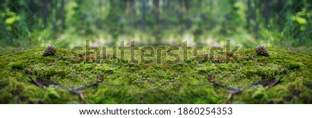 A stone covered with green moss in the forest. Wide banner. Copy space for product display, design, montage. Panoramic.