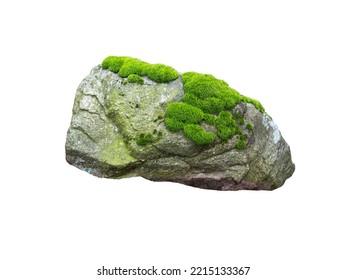 Stone Covered With Moss Isolated On White Background