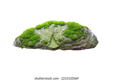 Stone Covered With Moss Isolated On White Background