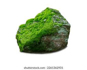 stone covered with moss isolated on white background - Powered by Shutterstock