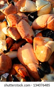 Stone crab claws background