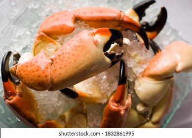 Stone crab claws. Colossal Crab claws served with lemons, spicy rémoulade sauce on top of a mixed green salad. Classic American restaurant or steakhouse appetizer or entree.