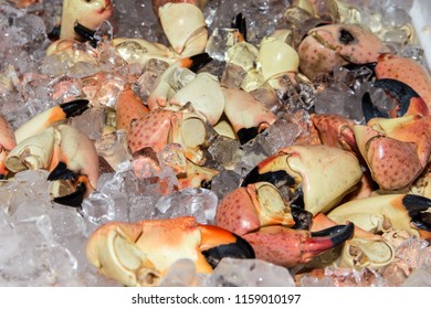 Stone Crab Claws On Ice