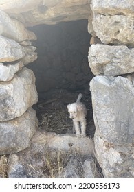 Stone Entranceway To Abandoned Home