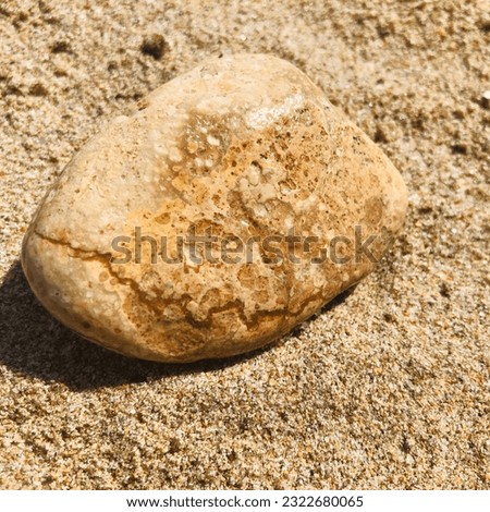 Similar – Beautiful hand holding a stone, on a beach sand background.