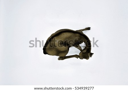 Similar – Image, Stock Photo bird Eating Beautiful