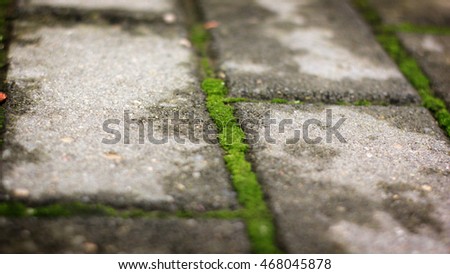 Similar – Image, Stock Photo green ways (1) Pave Furrow