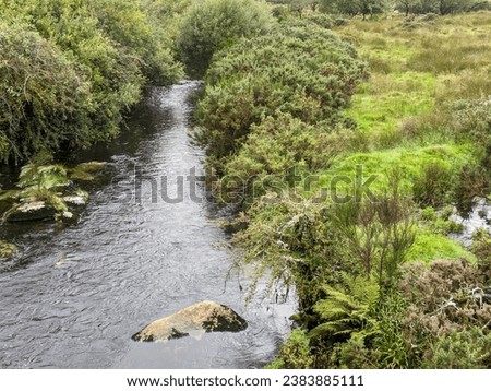Stone flow flowing river lake water pond water stream rock rocks stones Leaf leaves moss Dartmoor national park nature plants plant grass country countryside tree trees nature England 