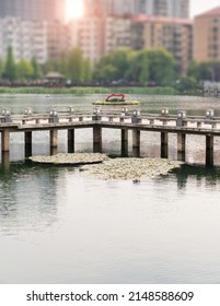 Stone Footbridge In An Asian Garden