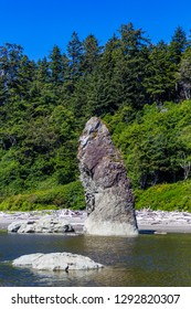 Stone formation Ruby Beach Washington rocks trees beach