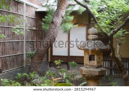 Stone Garden Lantern Beneath Pine Tree Branches