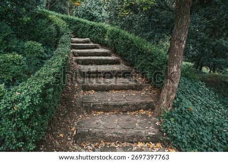 Stone Garden Path. Rustic Steps through Greenery