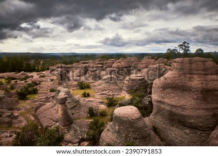 Stone garden, volcanic landscape in summer in Mexiquillo Durango