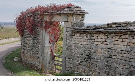 Stone gateway on a corner in the Burgundy region with a red virginia creeper plant growing on top of the wall