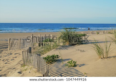 Stone Harbor Dunes. A quiet early morning scene of dunes leading to the beach in Stone Harbor before beachgoers crowd this New Jersey shore town. The dunes seen here are a protected ecosystem.