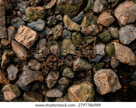 Stone High Angle View of Natural Stone Texture and Pebbles on Dry Soil - Earthy Background