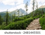 A stone hiking trail leads through a dry, grassy landscape toward a distant overlook with a clear blue sky above. Picturesque mountain landscape.