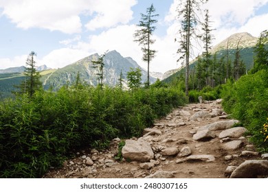 A stone hiking trail leads through a dry, grassy landscape toward a distant overlook with a clear blue sky above. Picturesque mountain landscape. - Powered by Shutterstock