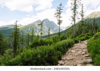 A stone hiking trail leads through a dry, grassy landscape toward a distant overlook with a clear blue sky above. Picturesque mountain landscape. - Powered by Shutterstock