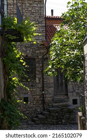 Stone House With A Vine On The Facade And A Fig Tree, Monte Brè