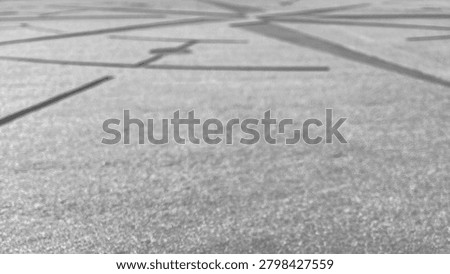 The stone into which a compass rose was etched; black and white