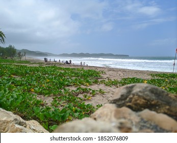 Stone Leaf Beach Hills And Human Just Human Maybe Not Humanity