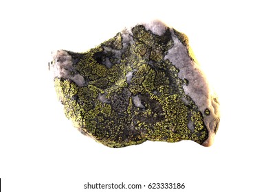 Stone With Lichen Isolated On White Background