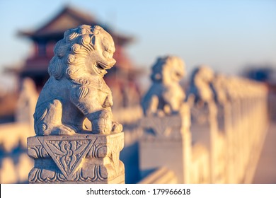 Stone Lion Sculptures In China