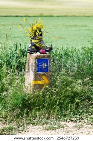 A stone marker adorned with a shell symbol stands along the Camino de Santiago route, with an old trekking shoe on top of it