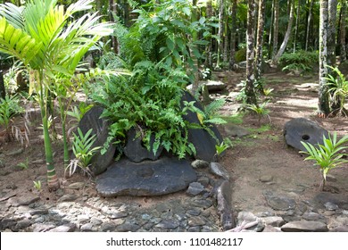 Stone Money Of Yap Island 