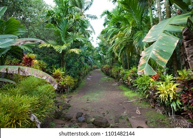 Stone Money Of Yap Island 