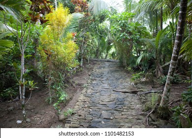 Stone Money Of Yap Island 